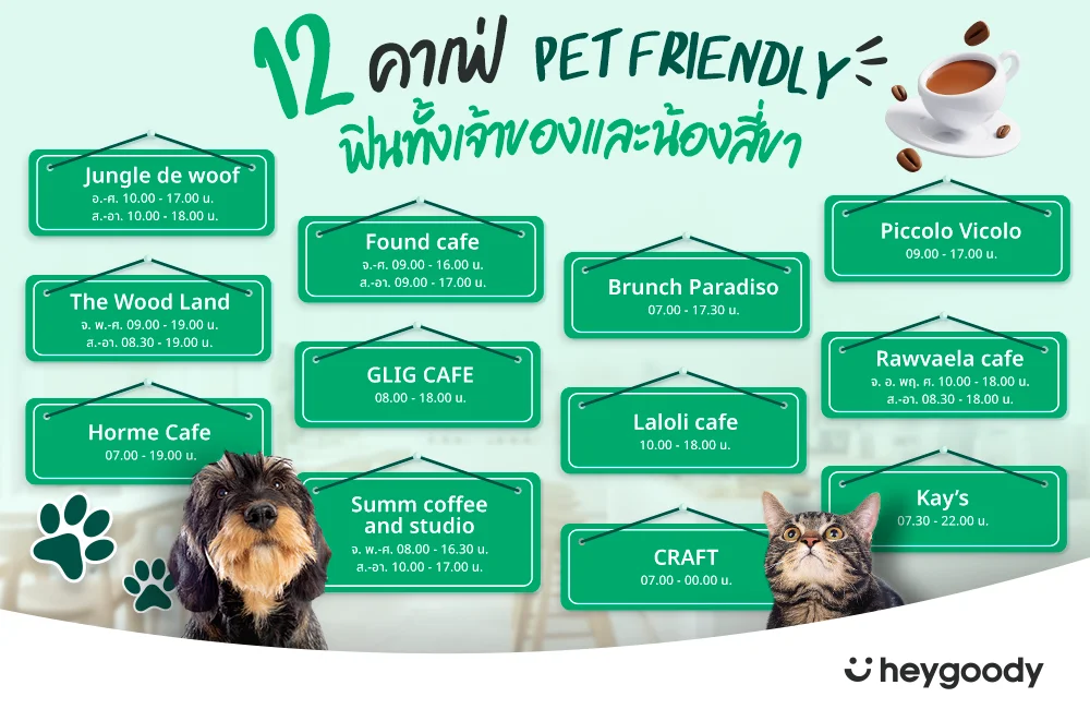 แนะนำ 12 ร้านอาหารและคาเฟ่ Pet Friendly