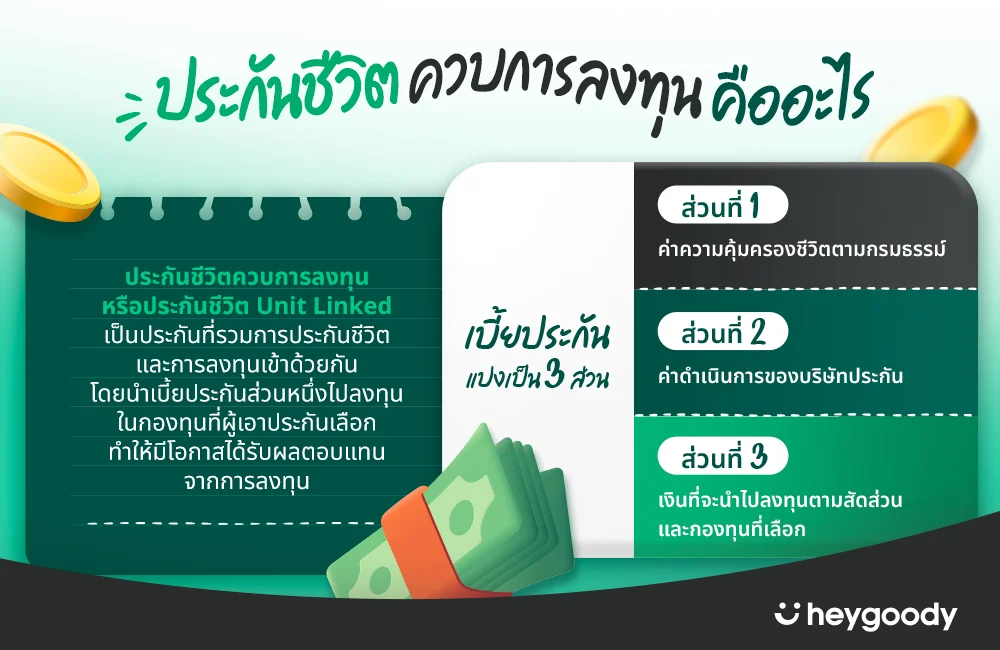 ประกันชีวิตควบการลงทุนคืออะไร