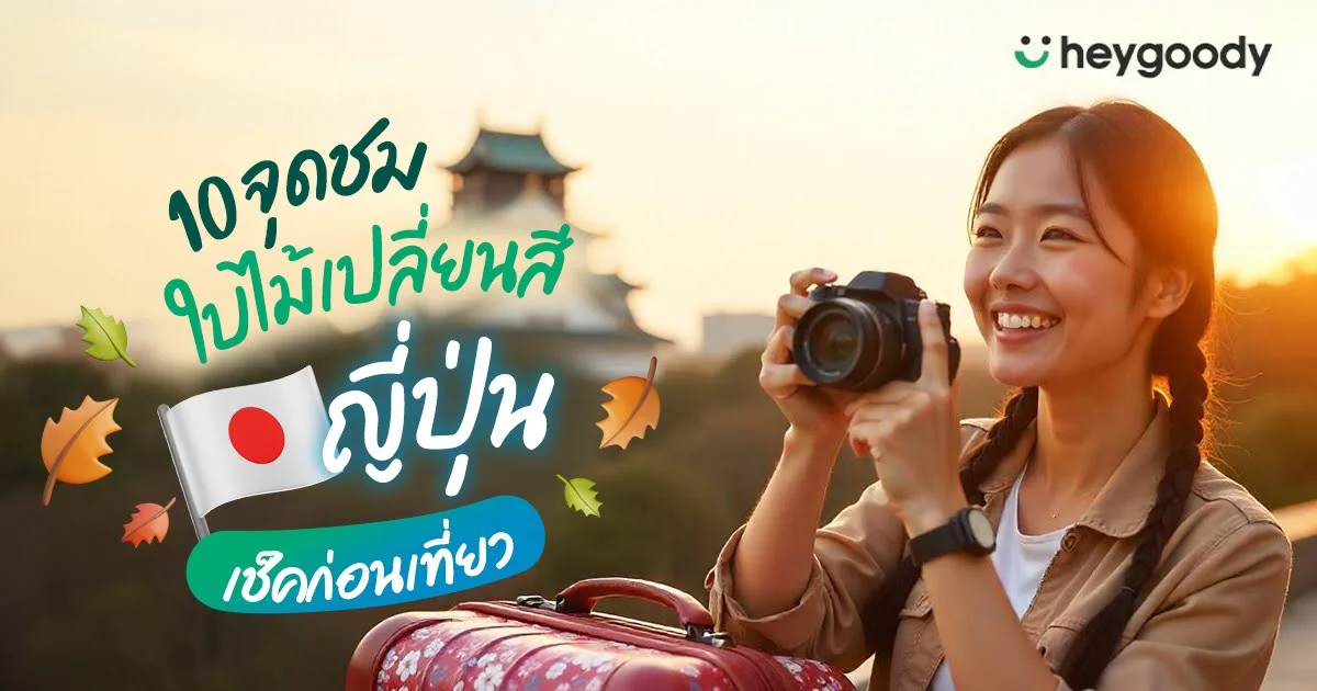 10 พิกัดจุดชมใบไม้เปลี่ยนสีญี่ปุ่น พร้อมพยากรณ์ล่าสุด