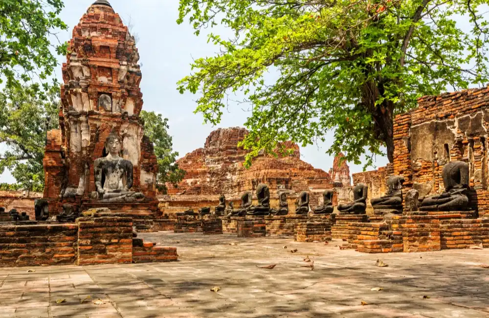 อุทยานประวัติศาสตร์พระนครศรีอยุธยา อยุธยา