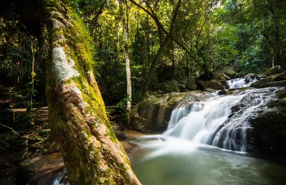 อุทยานแห่งชาติน้ำตกเขาสิบห้าชั้น จันทบุรี