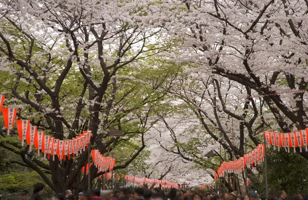 สวนอุเอโนะ โตเกียว